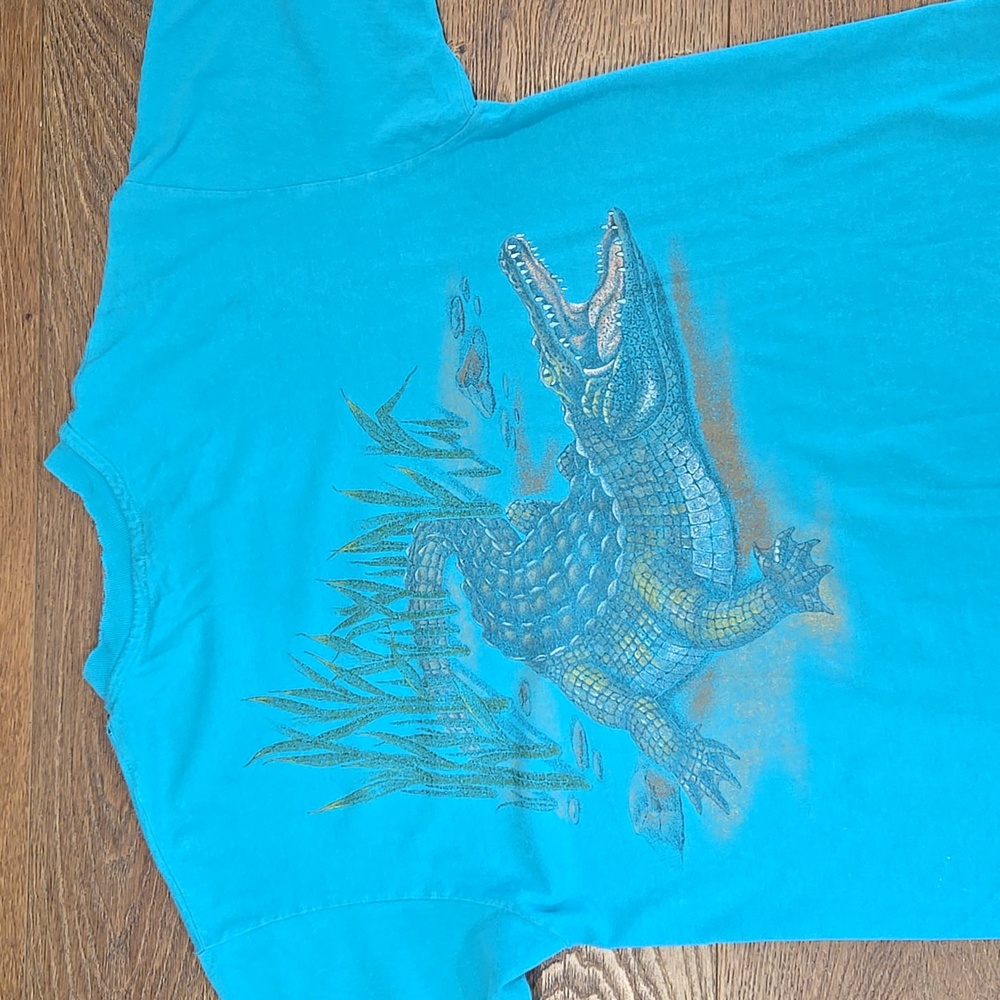 HANES BEEFY T VINTAGE 1990S single Stitch Tshirt...mens Size Large    #7391